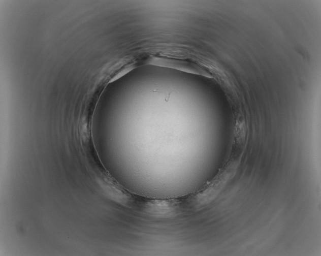 X0000113610381200909181424