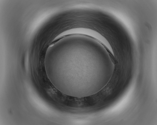 X0000113610382200909181424