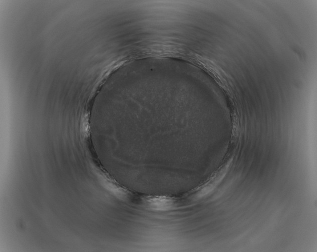 X0000113610383200909181424