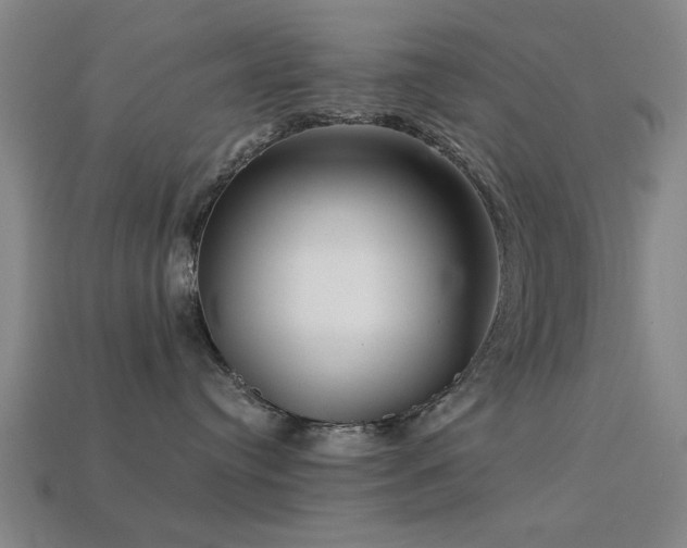 X0000113610384200909181424