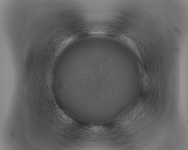 X0000113610385200909181423