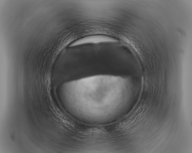 X0000113610386200909181423