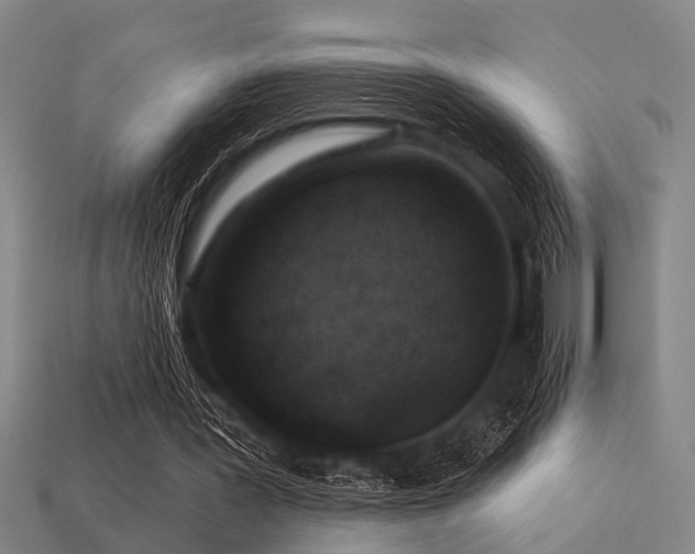 X0000113610387200909181423