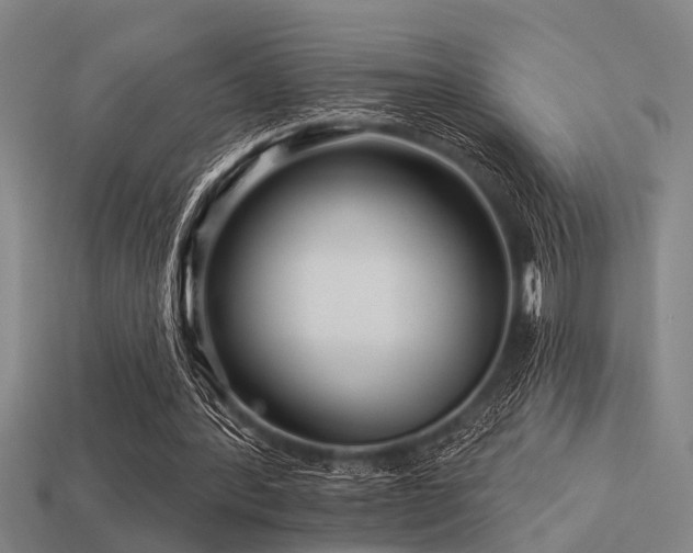 X0000113610388200909181423