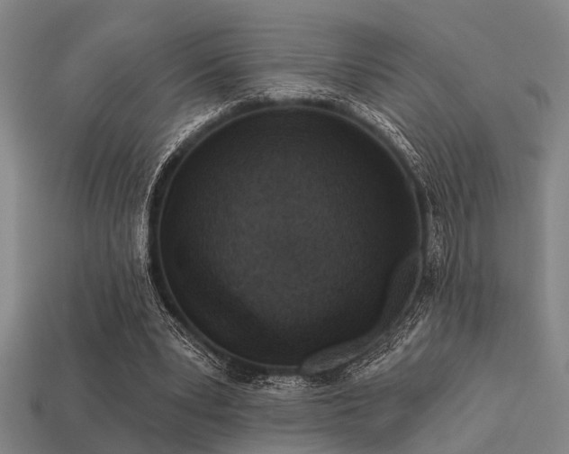 X0000113610391200909181423