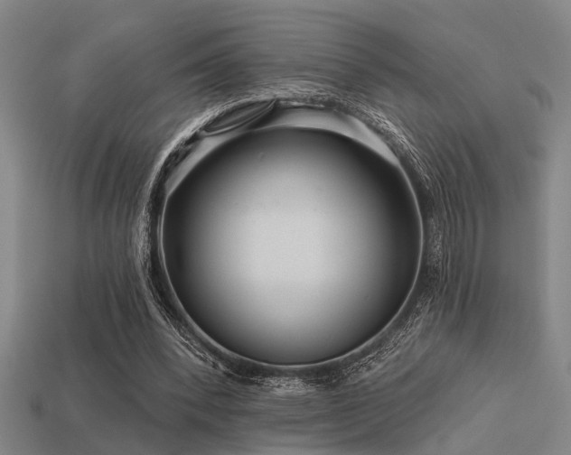 X0000113610392200909181423