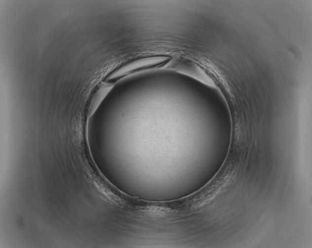 X0000113610393200909181423