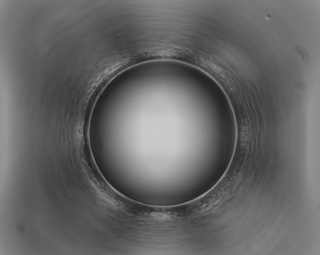 X0000113610394200909181423