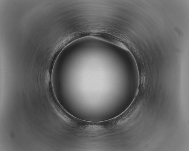 X0000113610397200909181423