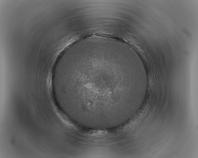 X0000113610398200909181423