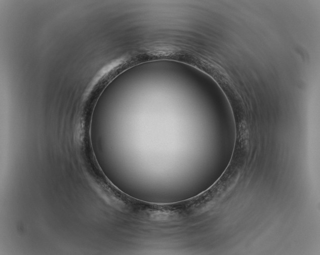 X0000113610400200909181423