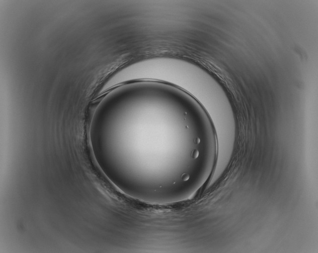 X0000113610401200909181423