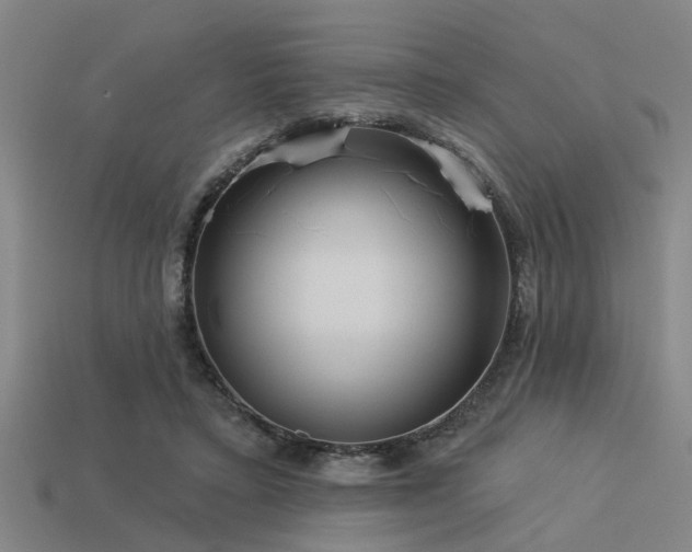 X0000113610403200909181423