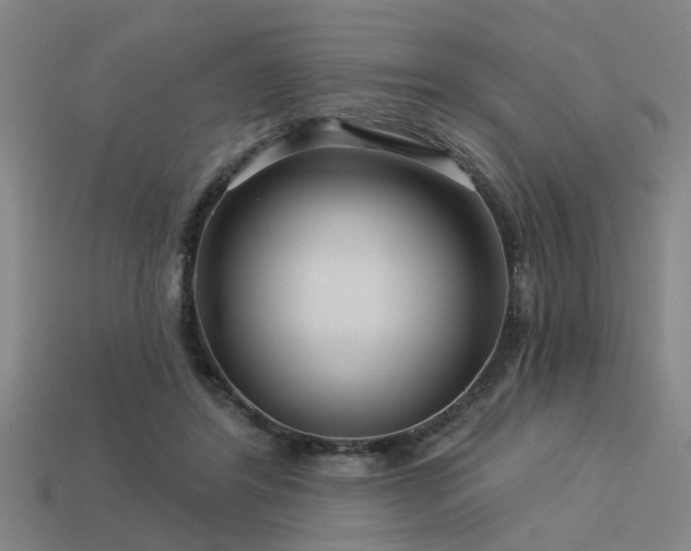 X0000113610404200909181423