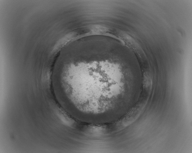 X0000113610405200909181423