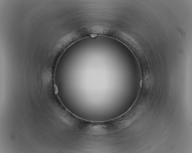 X0000113610407200909181423