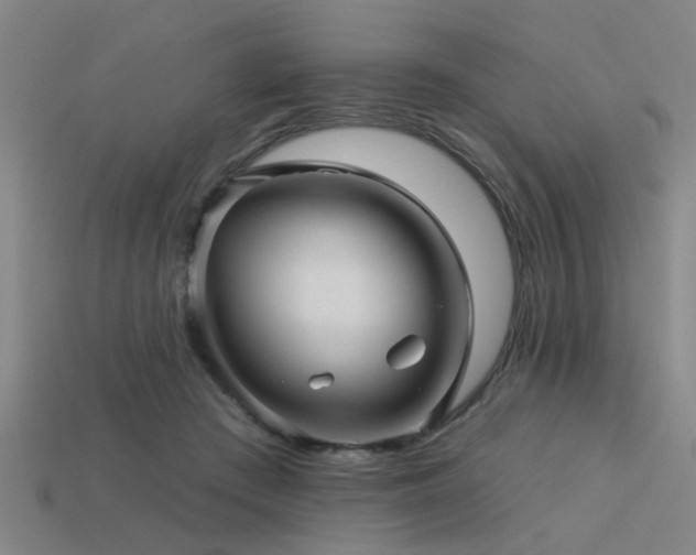 X0000113610409200909181423