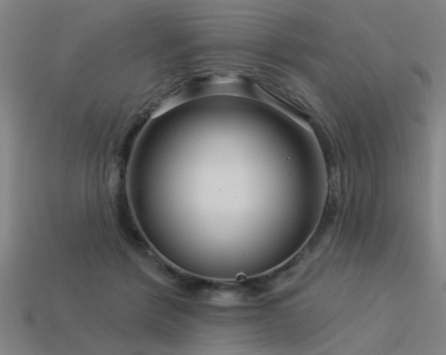 X0000113610412200909181423