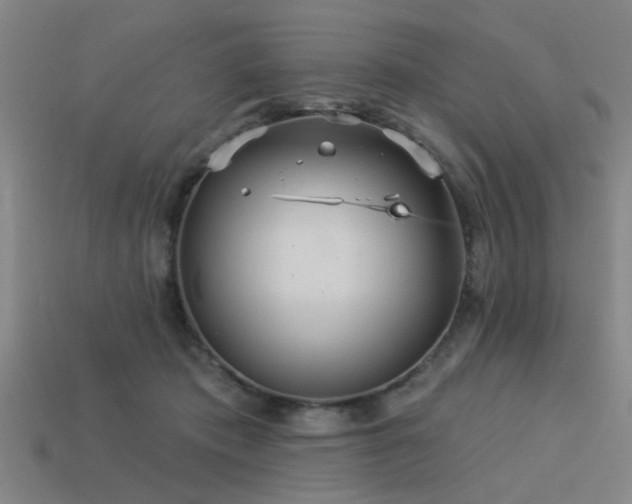 X0000113610413200909181423