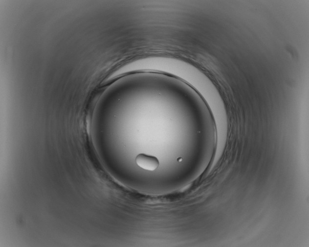 X0000113610415200909181423