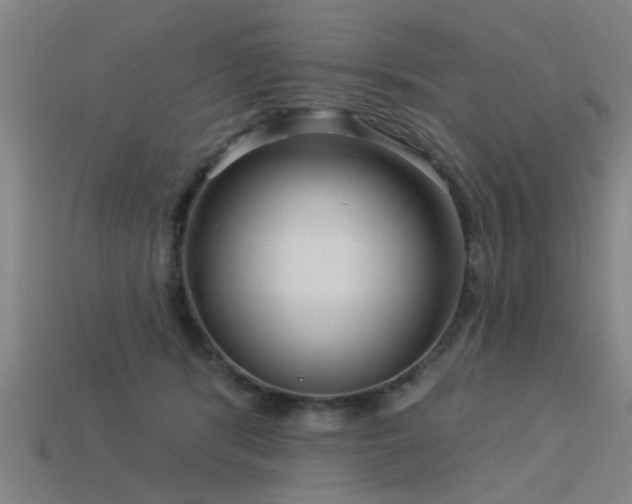 X0000113610416200909181423