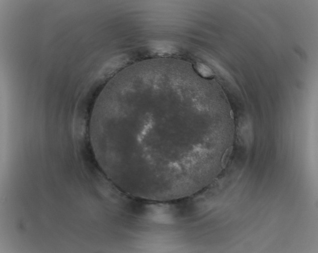 X0000113610417200909181423