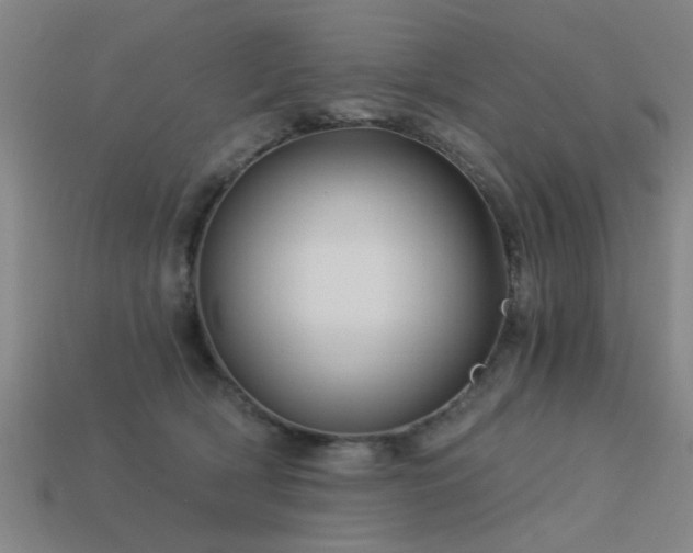 X0000113610418200909181423