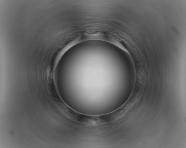 X0000113610420200909181423