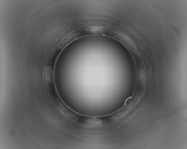 X0000113610421200909181423