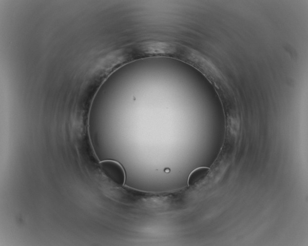 X0000113610422200909181423