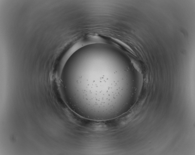 X0000113610424200909181423