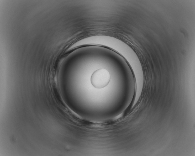 X0000113610425200909181423