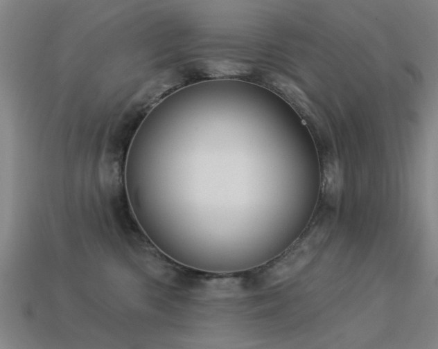 X0000113610426200909181423