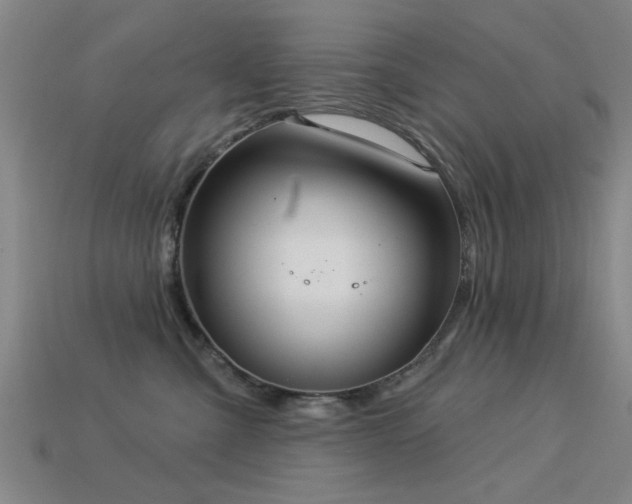 X0000113610427200909181423