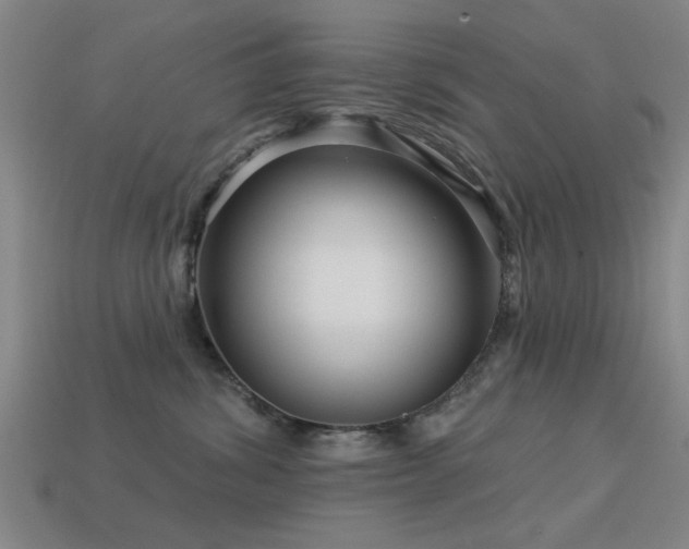 X0000113610428200909181423