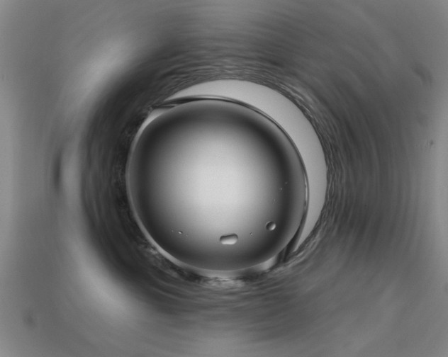 X0000113610429200909181423