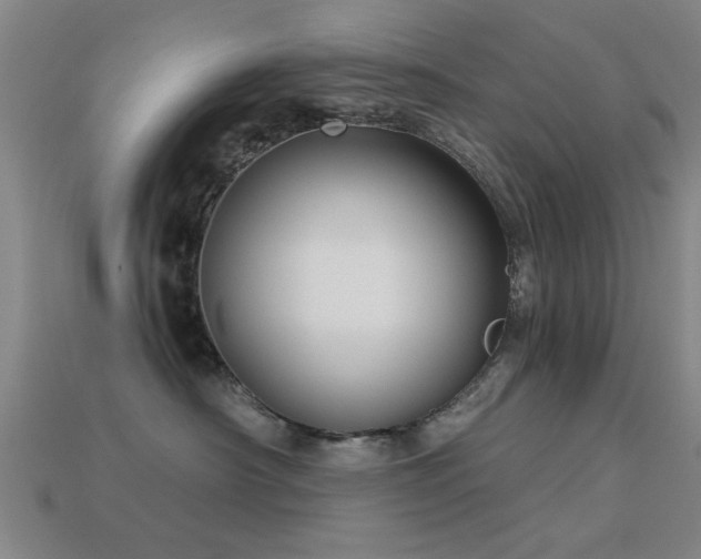 X0000113610430200909181423