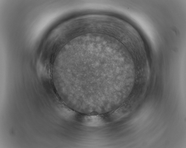 X0000113610431200909181422