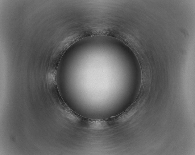 X0000113610432200909181422