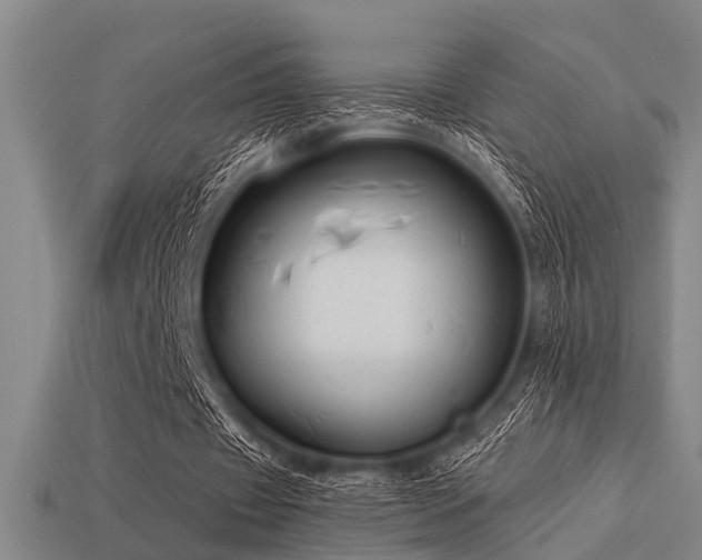 X0000113610433200909181422