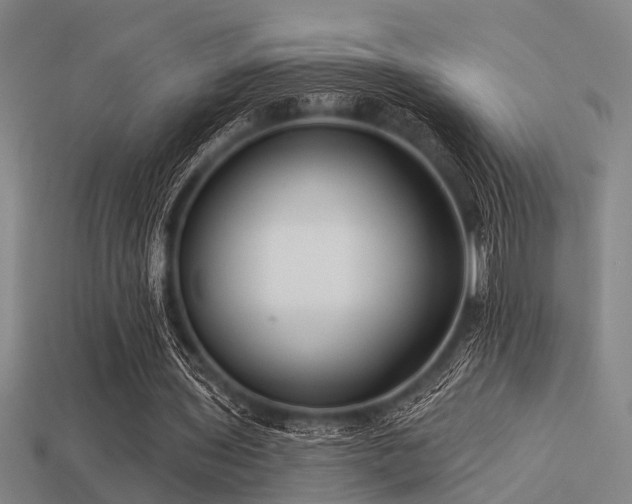 X0000113610435200909181422