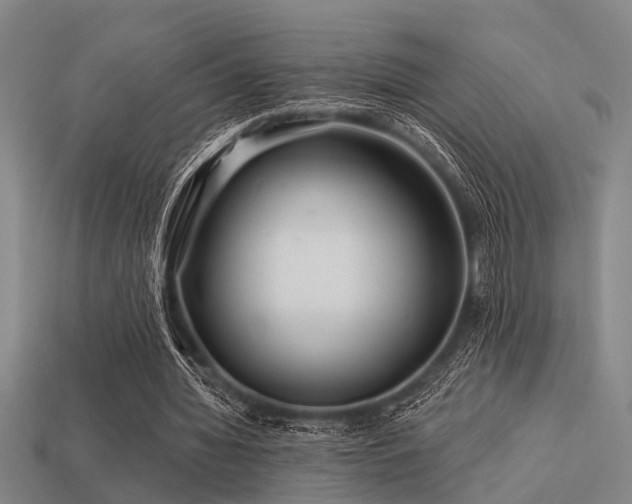 X0000113610436200909181422