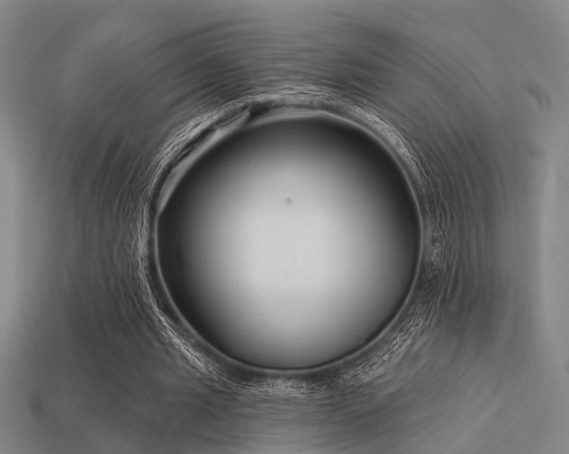 X0000113610437200909181422