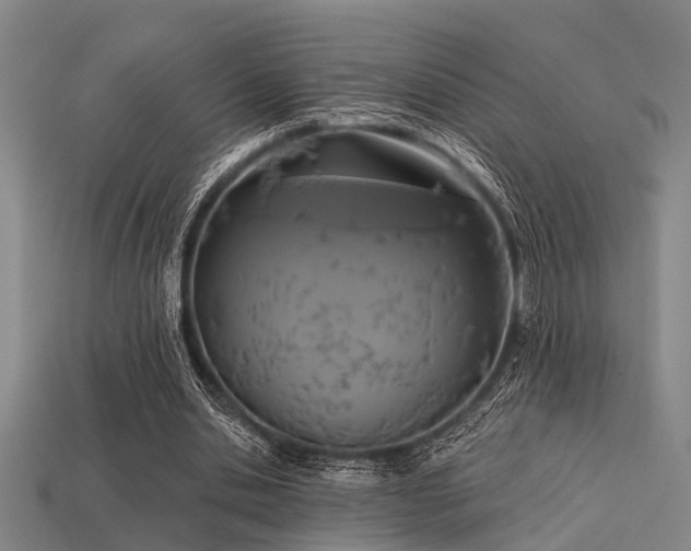 X0000113610438200909181422