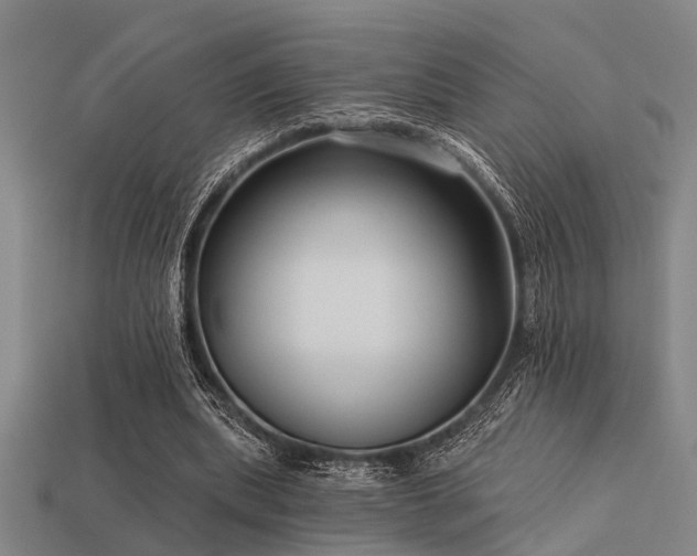 X0000113610439200909181422