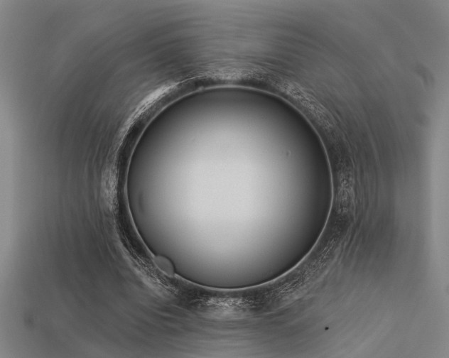 X0000113610440200909181422