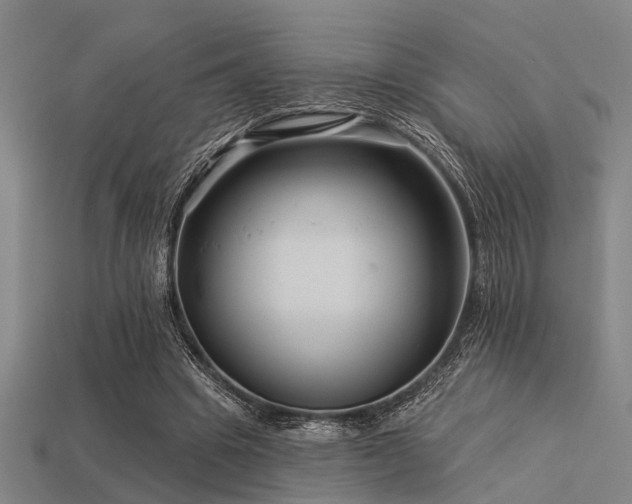 X0000113610441200909181422