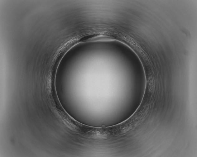 X0000113610442200909181422