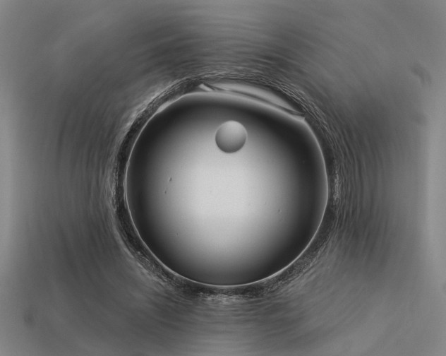 X0000113610444200909181422