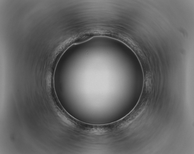 X0000113610445200909181422